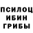 Псилоцибиновые грибы ЛСД Kira Lubkovska
