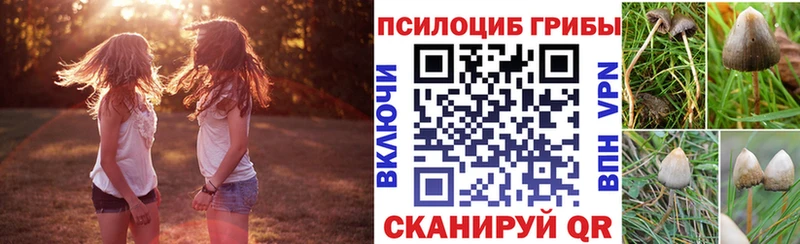 Псилоцибиновые грибы мицелий  Карачев 